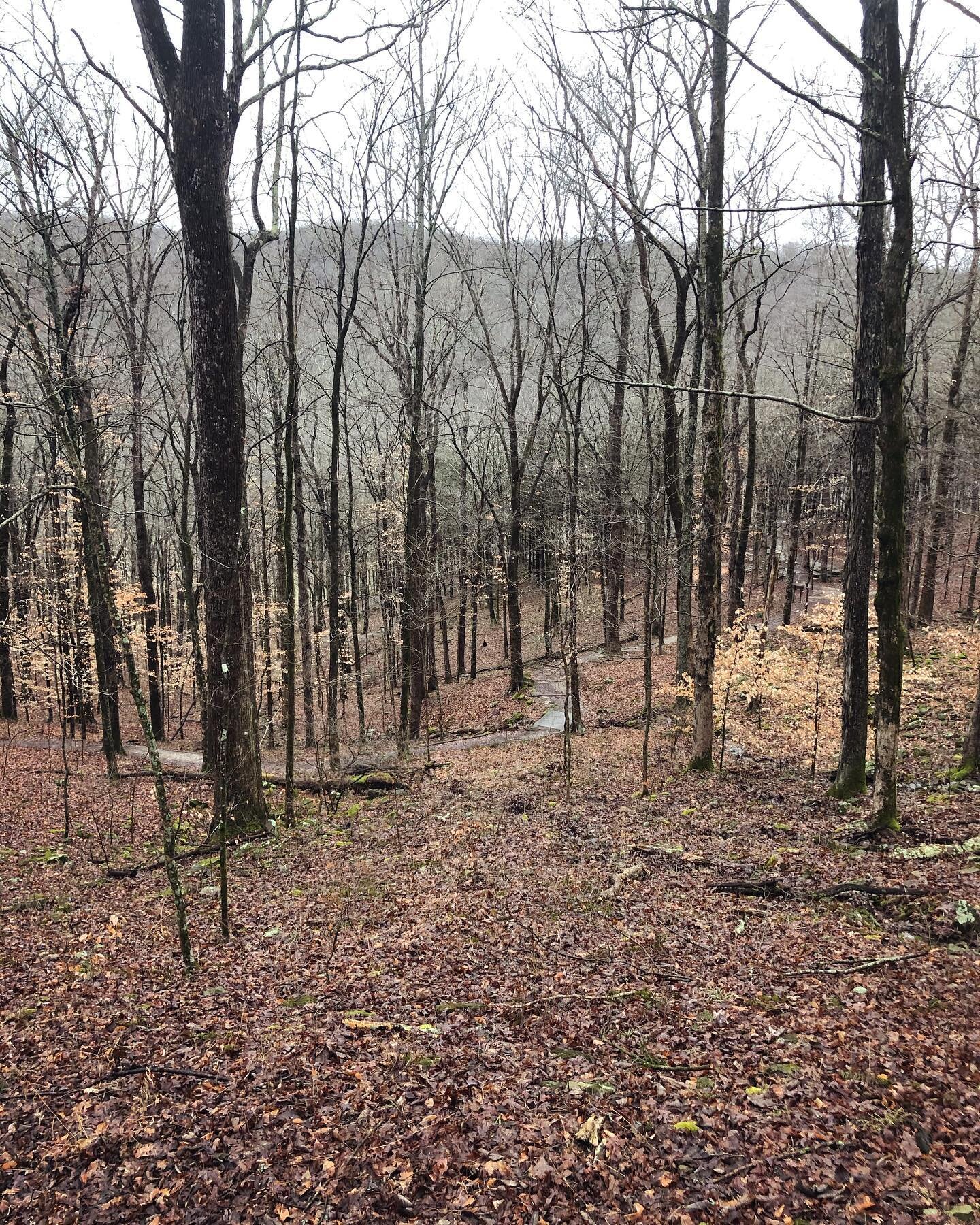If you&rsquo;ve not gone for a hike in the fall and winter months, you&rsquo;re missing a true change of scenery. Not just in the descent of leaves, but the hills and valleys which are hidden by the foliage on the trees. The trails look different in 