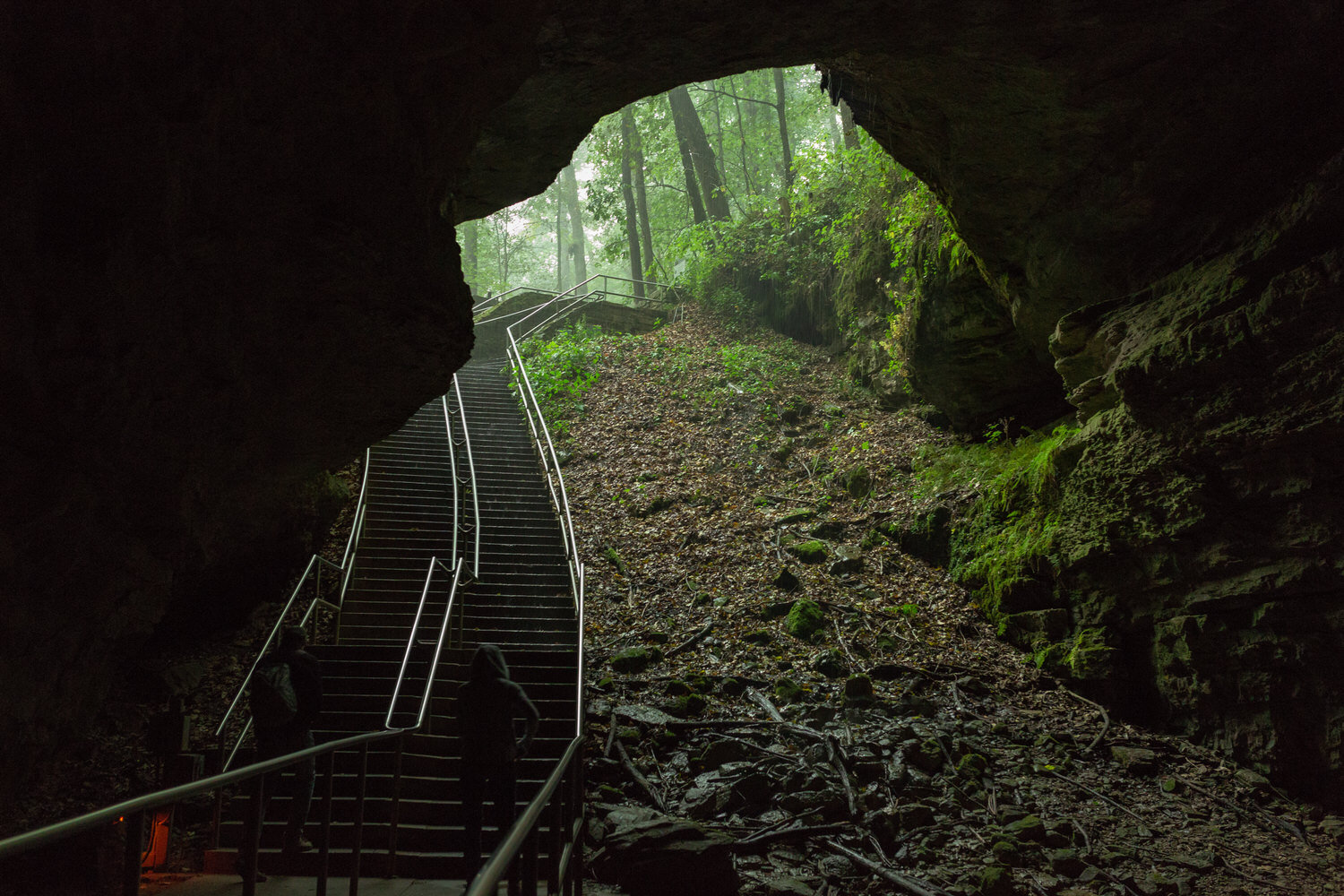   Friends of Mammoth Cave National Park   Authorized primary non-profit philanthropic partner of Mammoth Cave National Park, providing support for Park programs and activities.   Donate Now  