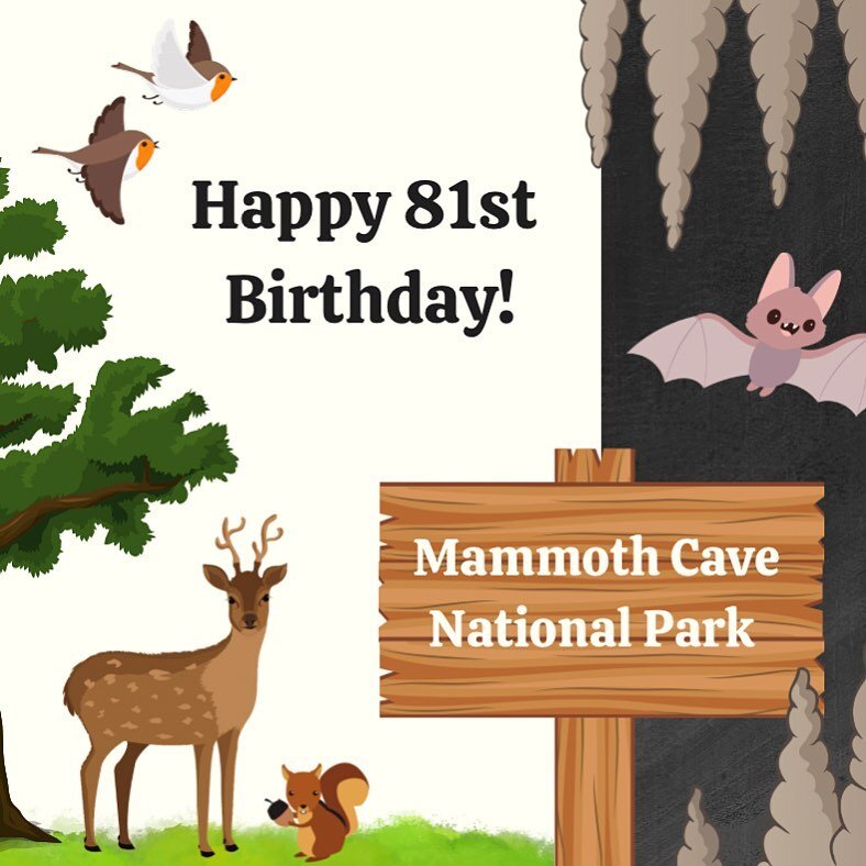 Happy 81st birthday to Mammoth Cave National Park!! 🦇 🥳 
On July 1st, 1941, Mammoth Cave was established as the 26th national park in the National Park Service. Within its boundaries, a rich diversity of plant and animal life live in harmony nestl