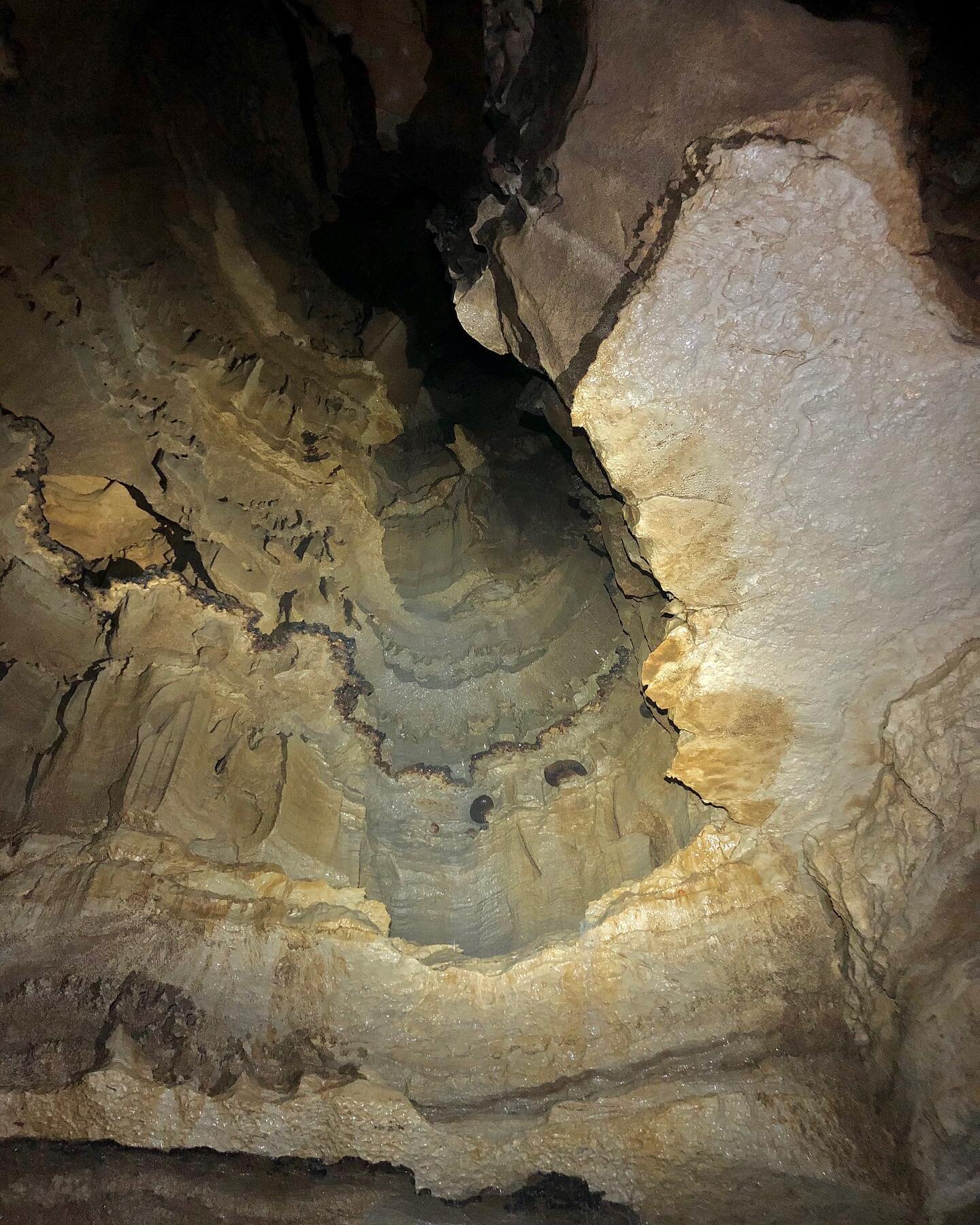 Some of the domes visible within New Entrance at Mammoth Cave, most commonly seen during the Domes and Dripstones tour.
📸: Amber Flowers