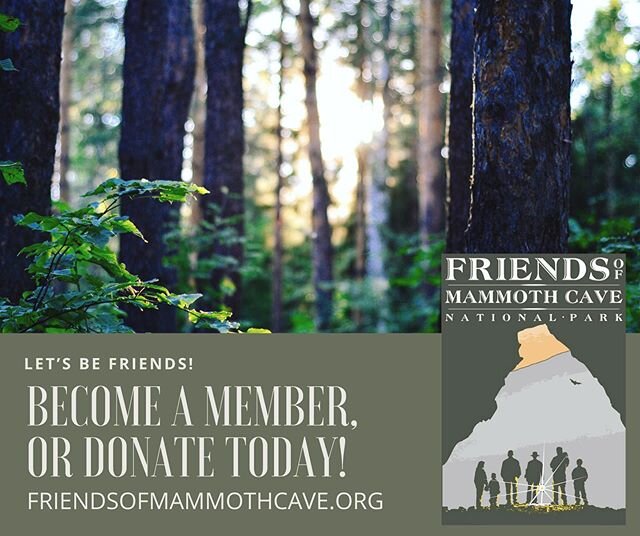 We would like to thank everyone who has been a member or donated in 2019! Your participation and contributions have enabled us to do many good things for our beautiful Mammoth Cave National Park! 
OUR MISSION 
The Friends of Mammoth Cave National Park, works in cooperation with the National Park Service, to fund projects and programs that protect, preserve, and enhance the natural and cultural resources, and the visitor experience of Mammoth Cave National Park. We can only accomplish our goal with the support of individuals and organizations that care about Mammoth Cave and want to help ensure its magic endures forever. - Friends plan and assist with Park clean-up and special events, and help to fund cave restoration and research. - Support and foster educational projects, including those that will improve student&rsquo;s competence in science and technology, or encourage international cooperation. The Friend&rsquo;s Ticket to Ride grant program provides transportation grants bringing students to the park. Over 3,000 students visit the Park each year. - Encourage healthy lifestyle through the fitness and recreational opportunities available at Mammoth Cave National Park and the surrounding region. Friends sponsors the Mammoth-on and Trail Town Weekend each year. - Support memorable multi-cultural, multi-generational visitor experiences to Mammoth Cave National Park in partnership with surrounding communities. - Serve as an ambassador for Mammoth Cave National Park and the caveland region, promoting and enhancing understanding and appreciation of all facets of the Park and the surrounding International Biosphere Reserve.
DONATE TODAY! 
You can become an integral part of helping to protect Mammoth Cave National Park by donating to the Friends of Mammoth Cave. We are a 501(c)3 Non-profit* and strive to maintain low overhead costs so that your tax-deductible donation will go directly to work in funding important projects and initiatives in the Park. Thank you for your support!
Become a Member + Donation Options (including corporate and in-kind): https://www.friendsofmammothcave.org/contribute